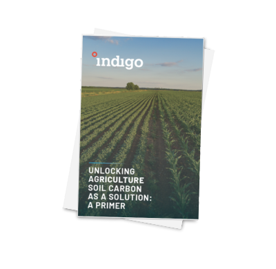 Annual Report